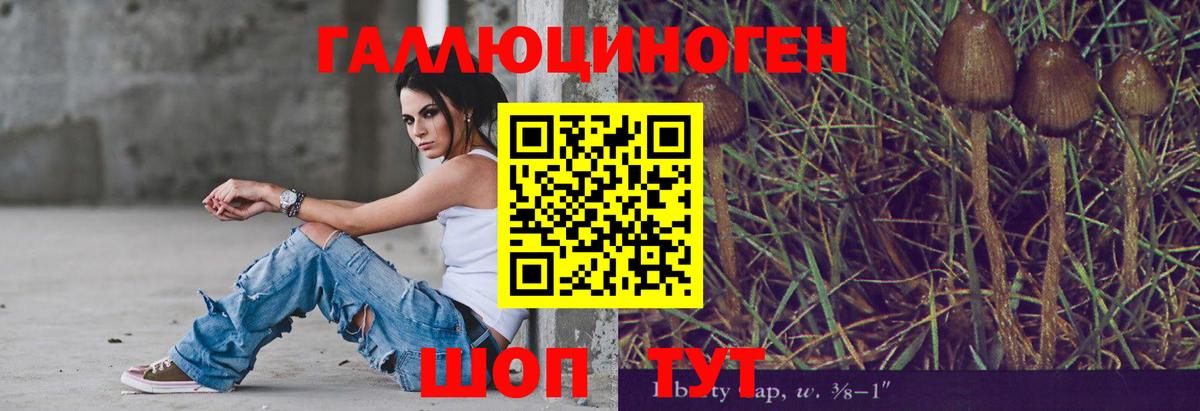 Галлюциногенные грибы Psilocybe  Вход с VPN  Галлюциногенные грибы Psilocybine cubensis  Благодарный 